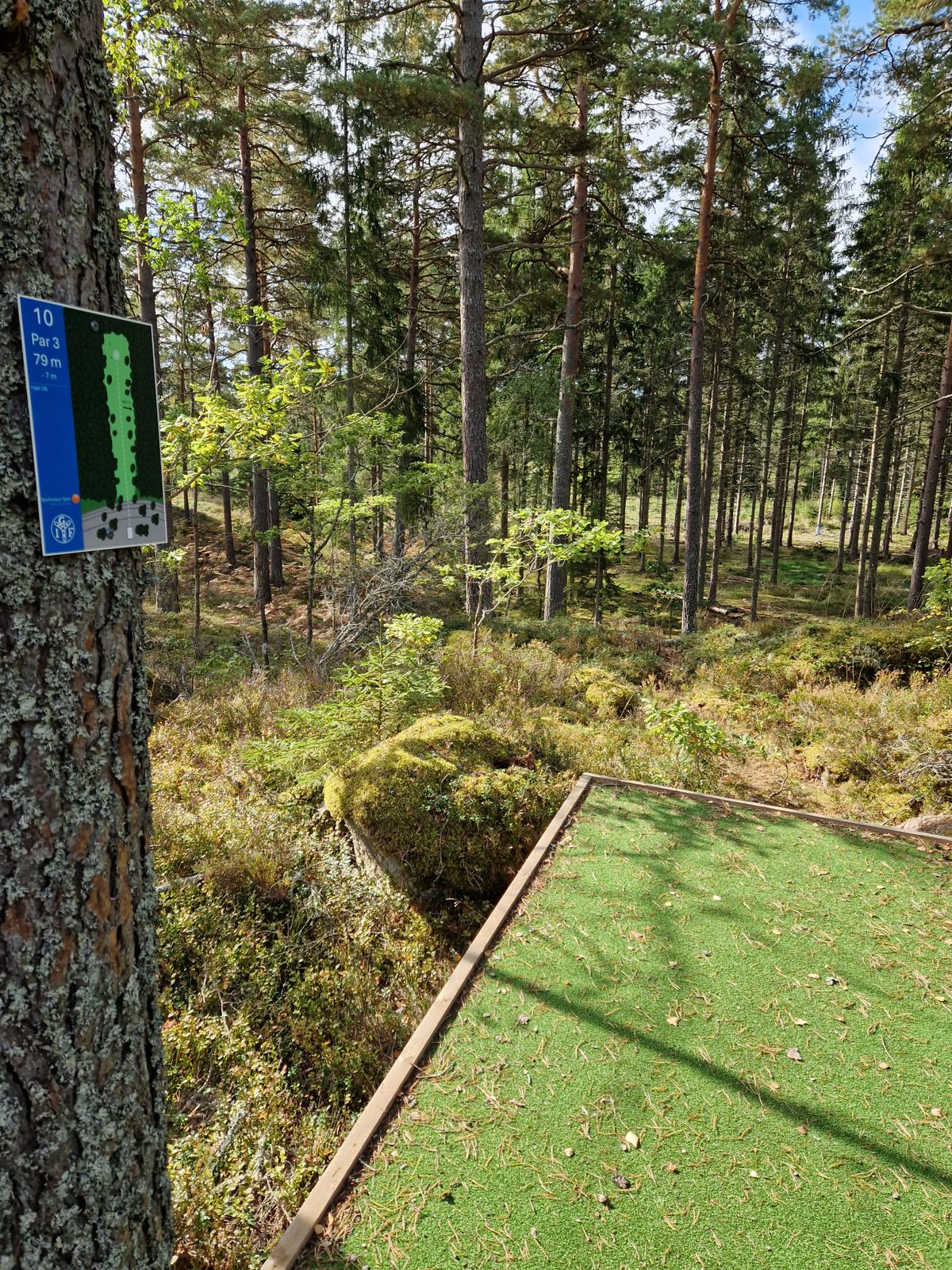 Hål 10