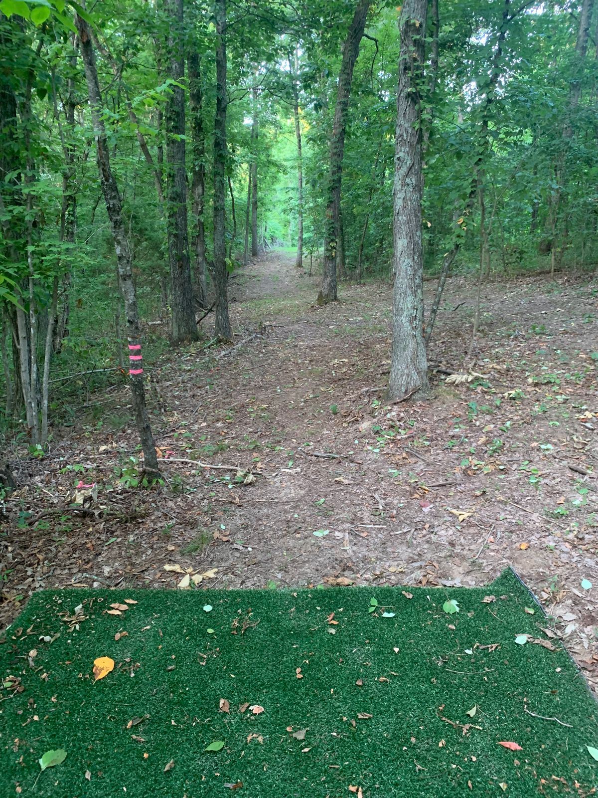 Hole #14, Par 3, 280 ft
