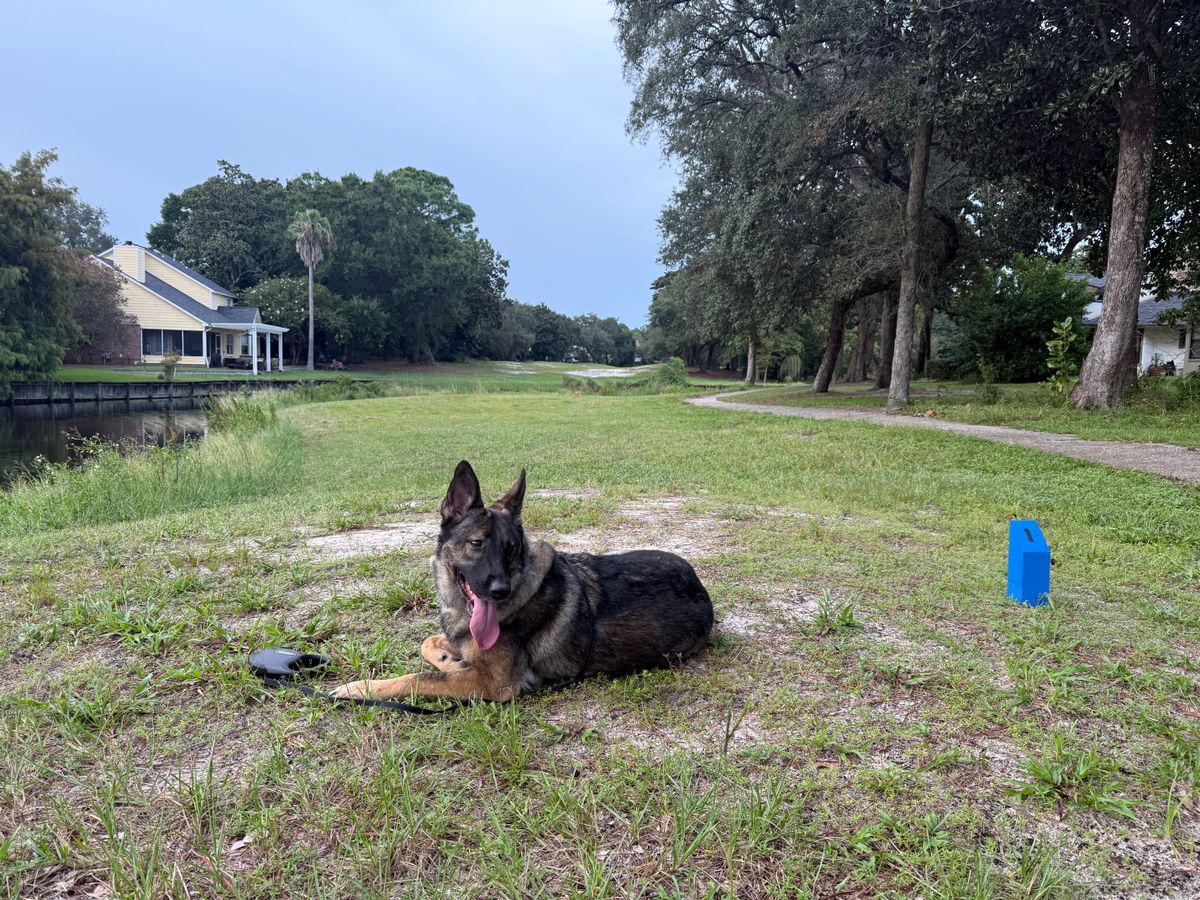 Sammy on the course!