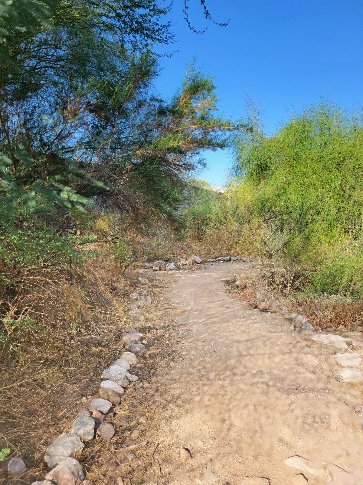 Pathway to #18