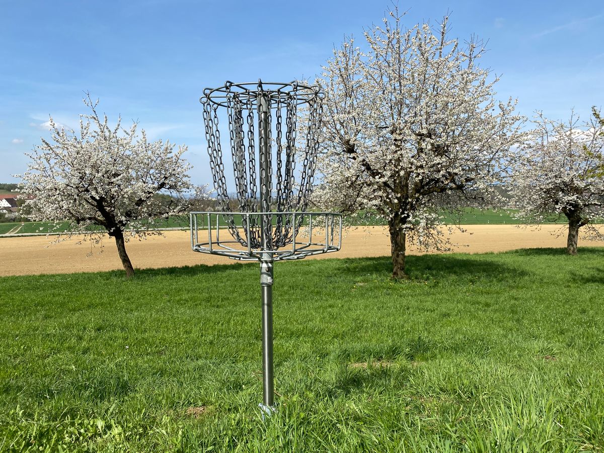 Nr. 14 in spring