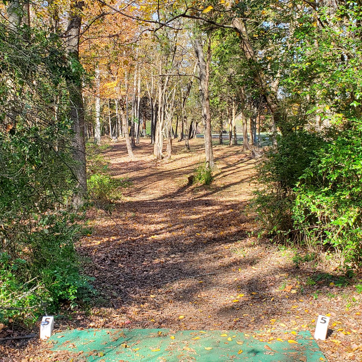 5th tee looking out to the basket. Nov 9, 2020.
