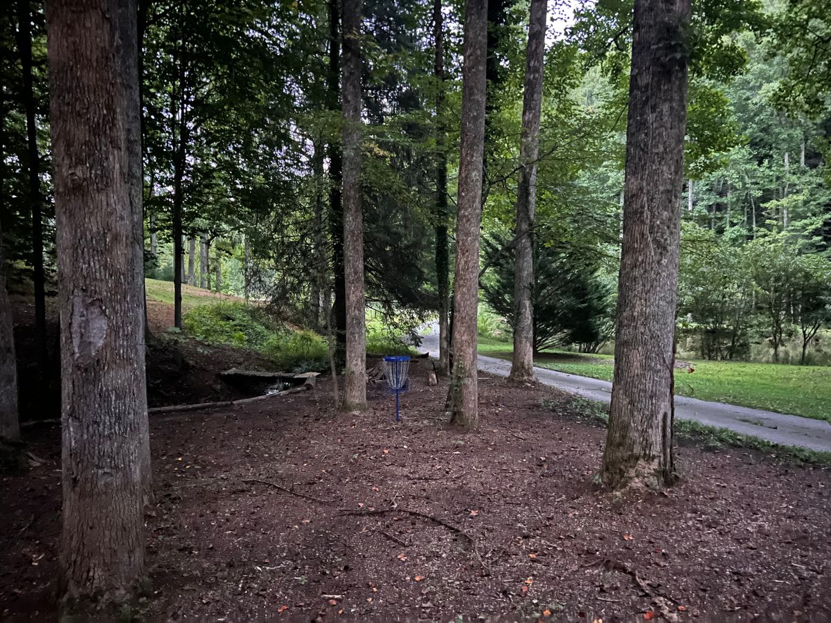 Hole 8 basket.