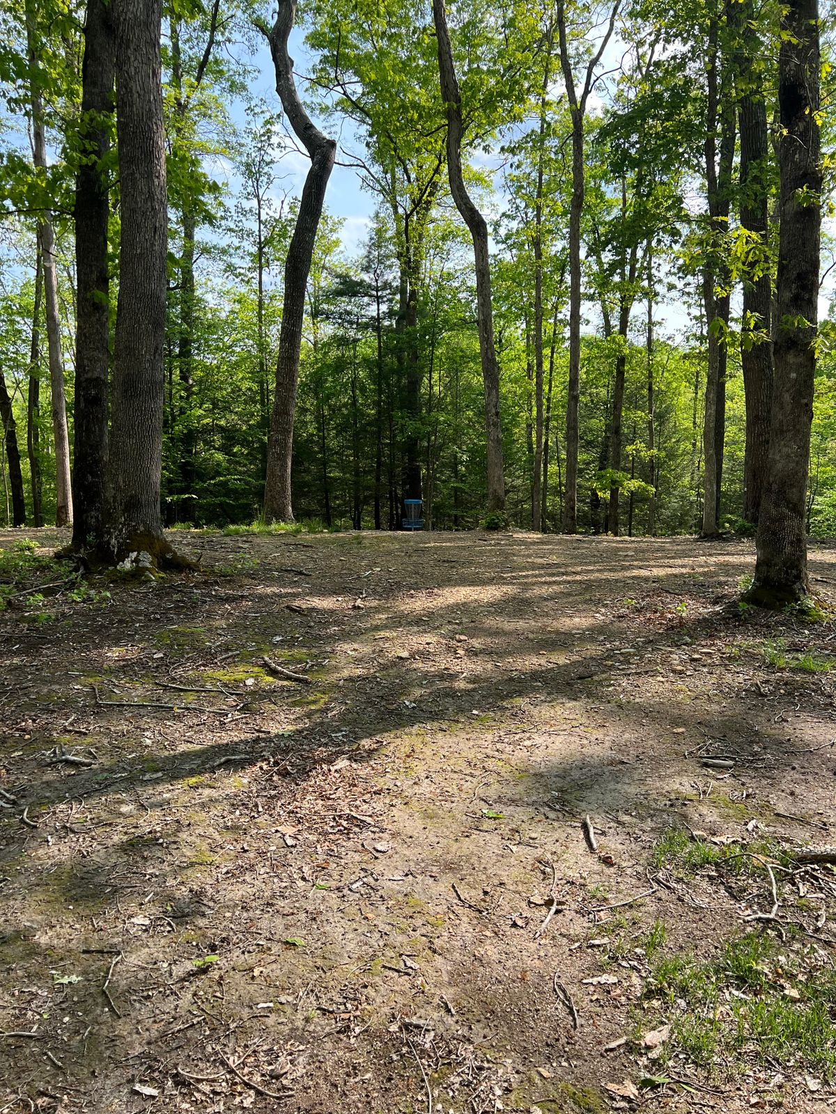 Hole 5 Approach