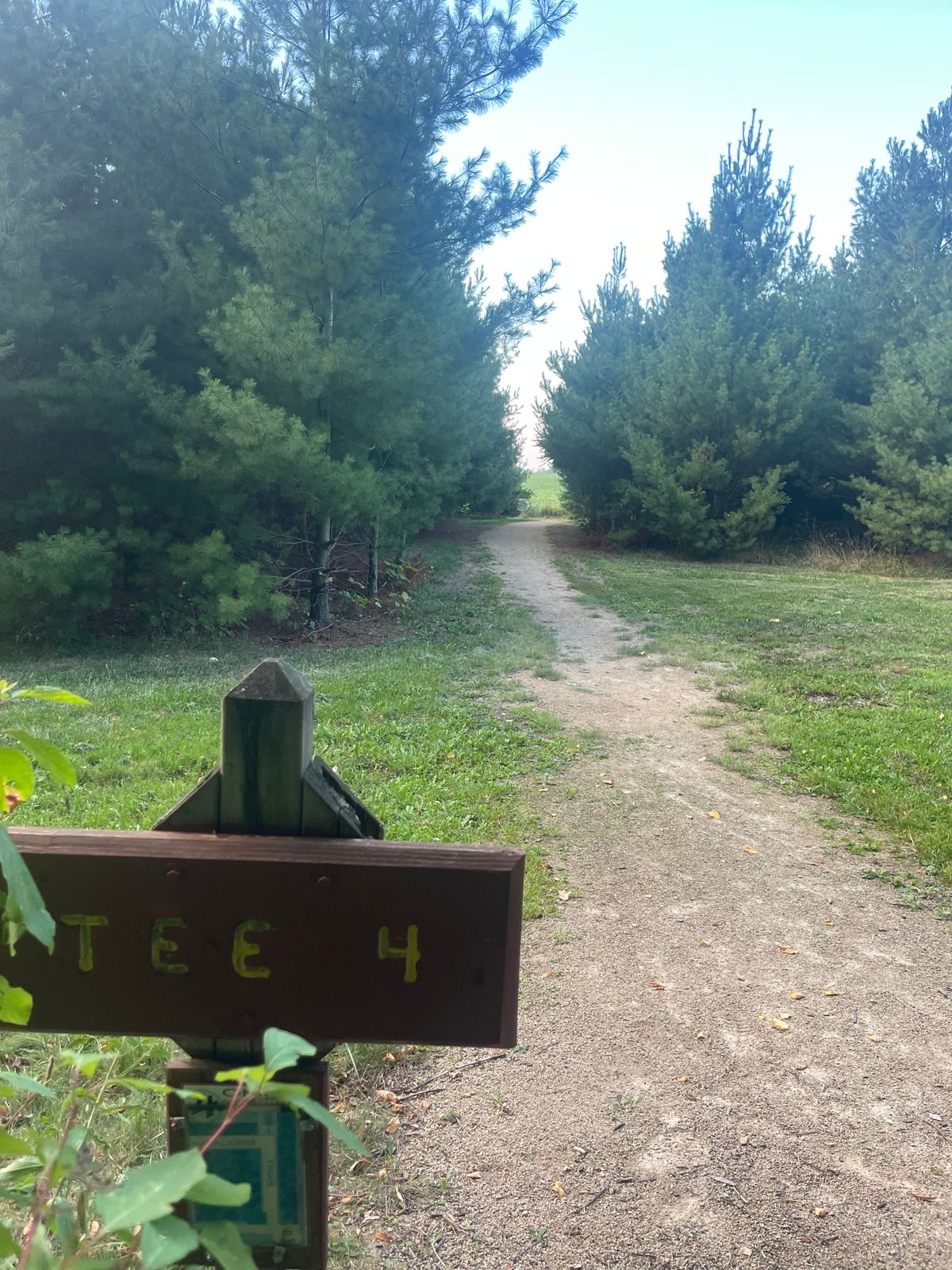 Hole 4: fun straight way