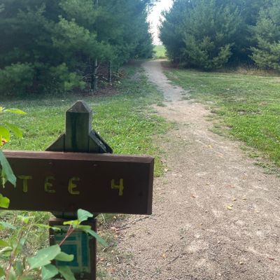 Hole 4: fun straight way