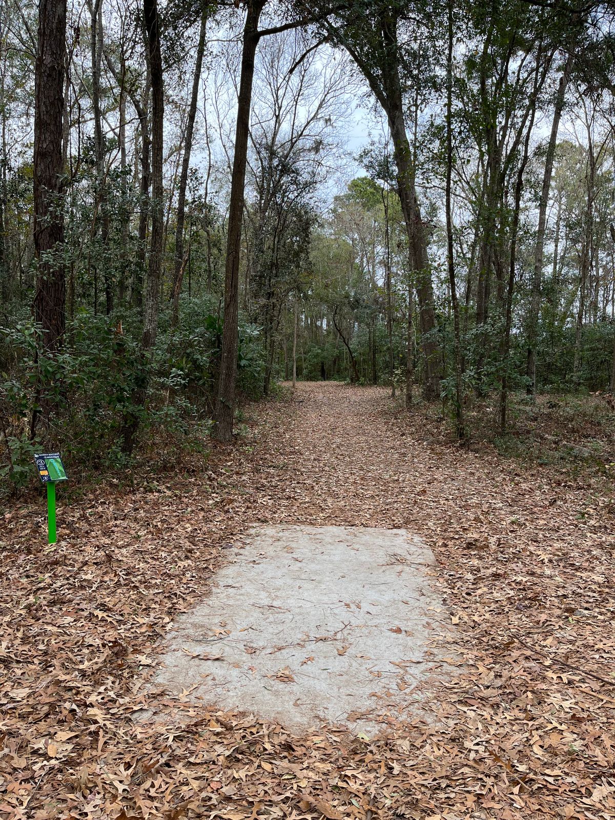 Hole 3 (short)