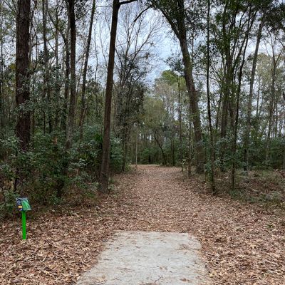 Hole 3 (short)