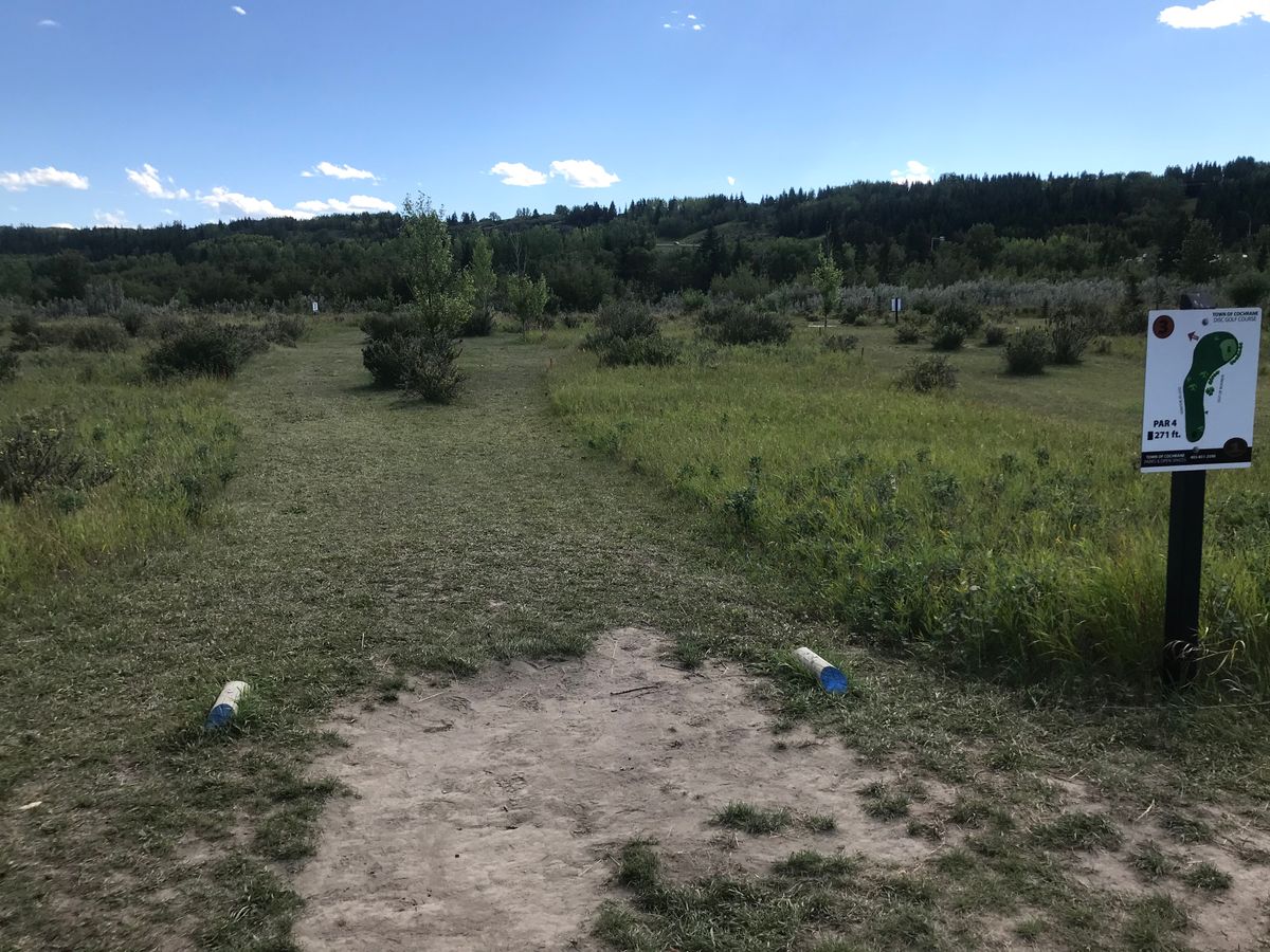 Hole 3 tee box