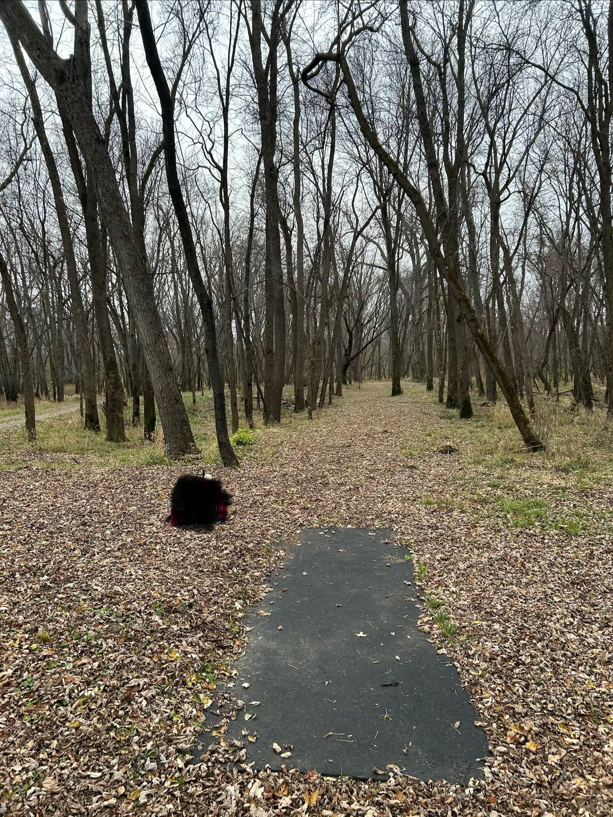 Tight fairway of hole 4