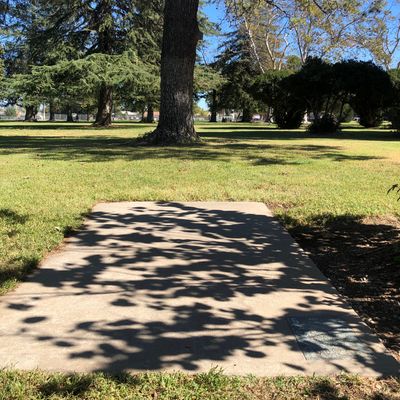 Hole #5 why are trees?