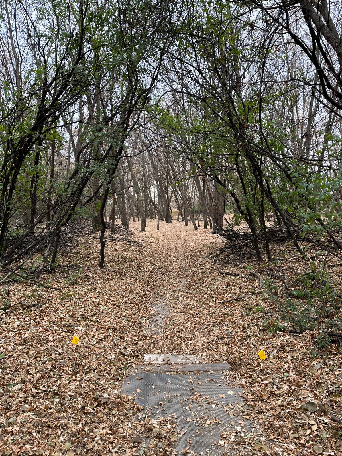 Hole 11 Teepad