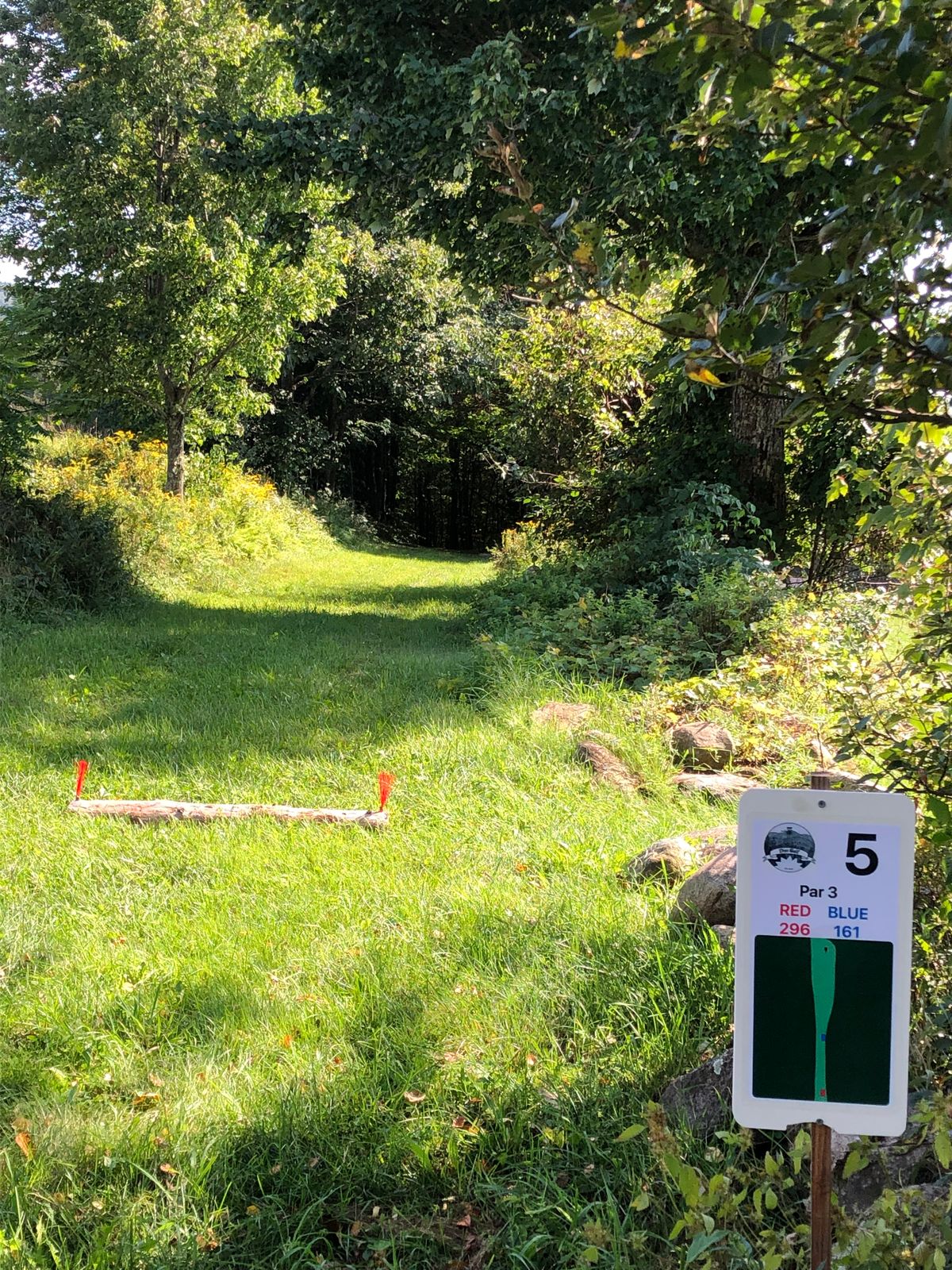 5 Tee