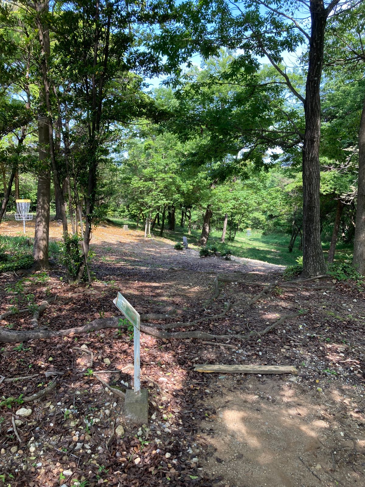 Hole 4 tee for 9 hole course