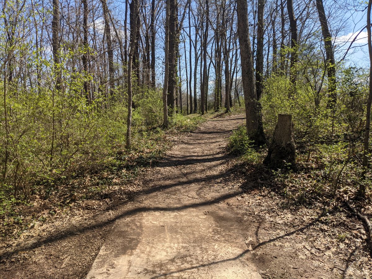 A good look at the initial gap off of Hole 8 tee.  Make the gap and the hole opens up nicely and the left finish will be welcome by right handed backhand players.