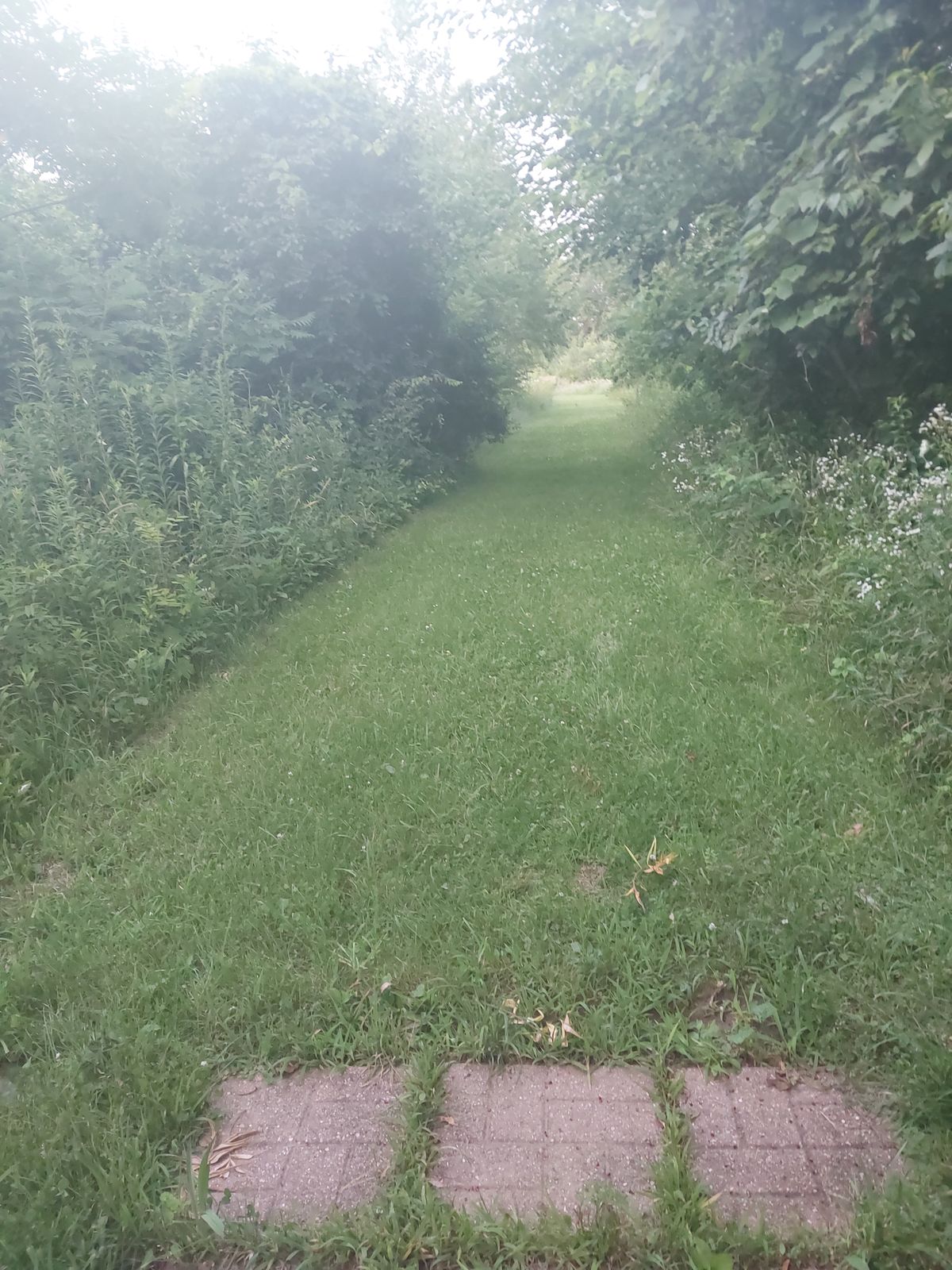 Narrow fairways not mowed or trimmed back much