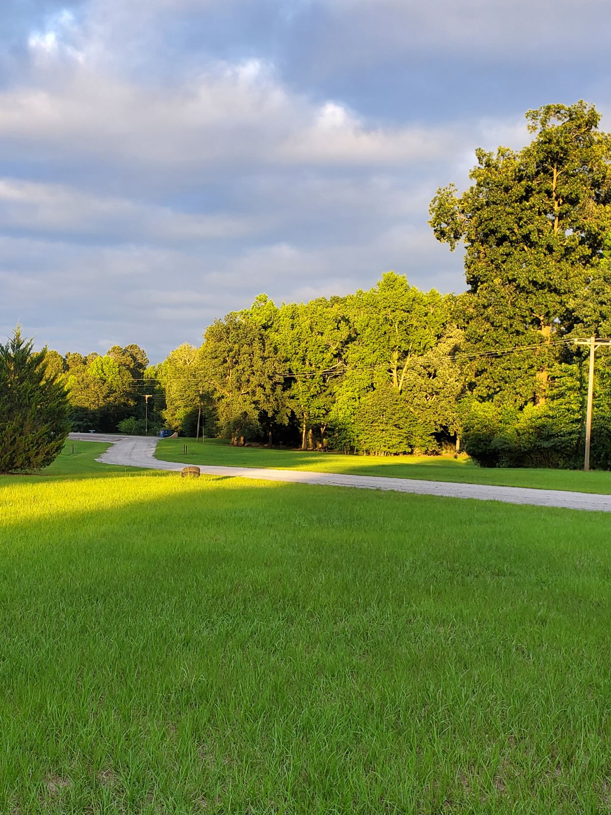 Area of second shot on the 935ft Par 5 18th. Basket is right of the end of the rd in the dark tunnel of the trees. :-)
