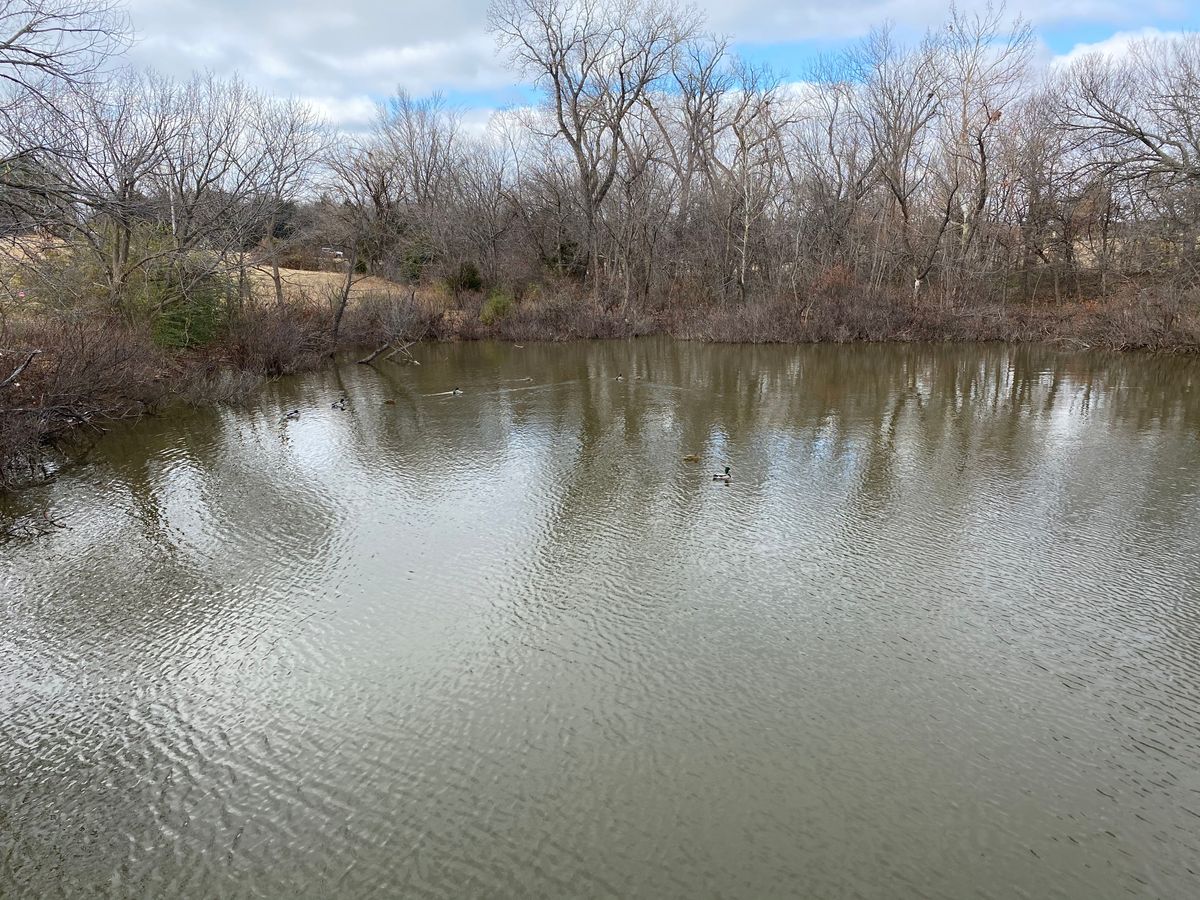 Hole 7’s water hazard