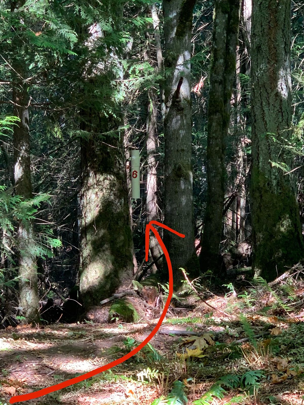 Hole 6, Part 2: Sisyphus