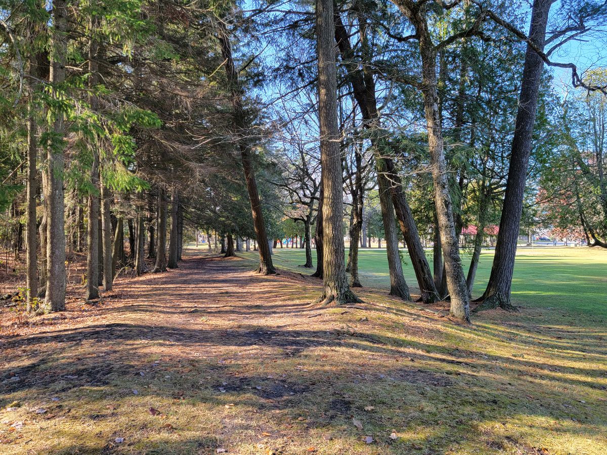 Hole 6 short tee - before photo