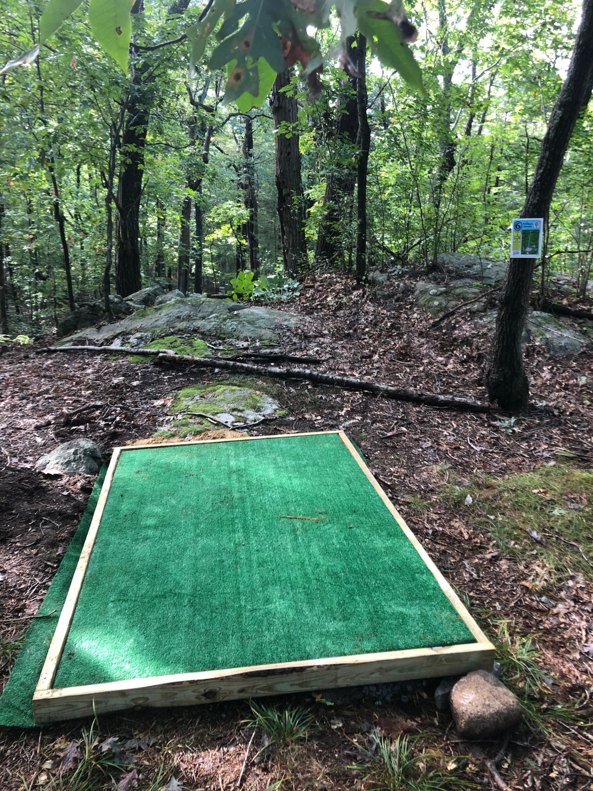 Hole 6 Tee