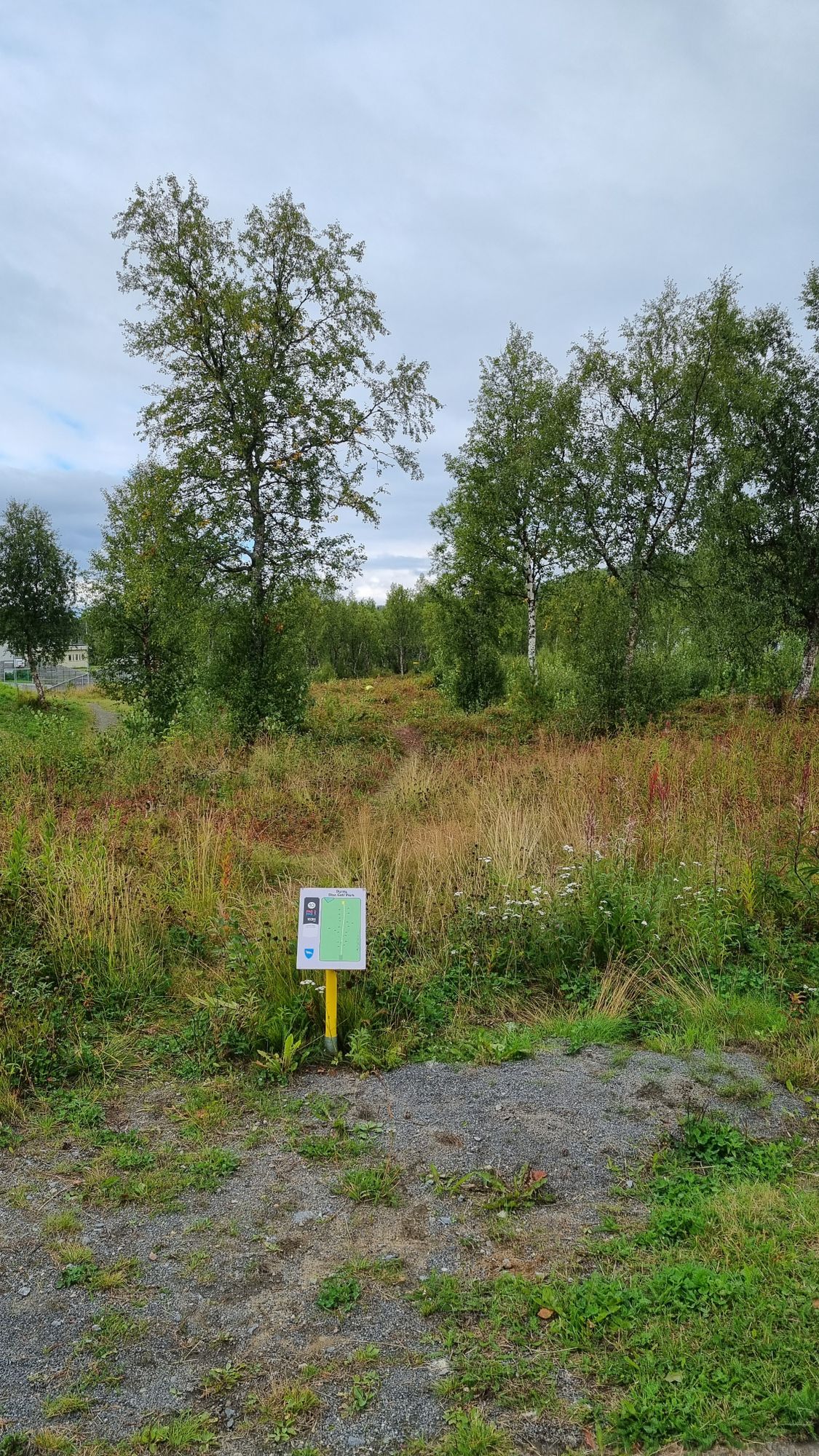 Tee 10