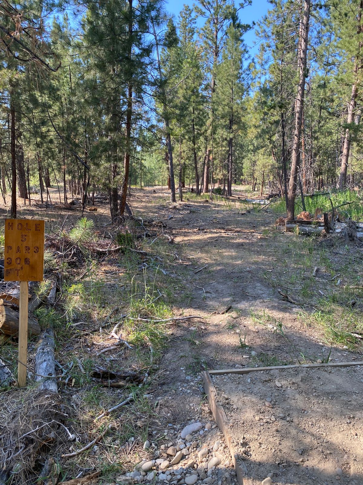 Hole 5 choose left or right side
