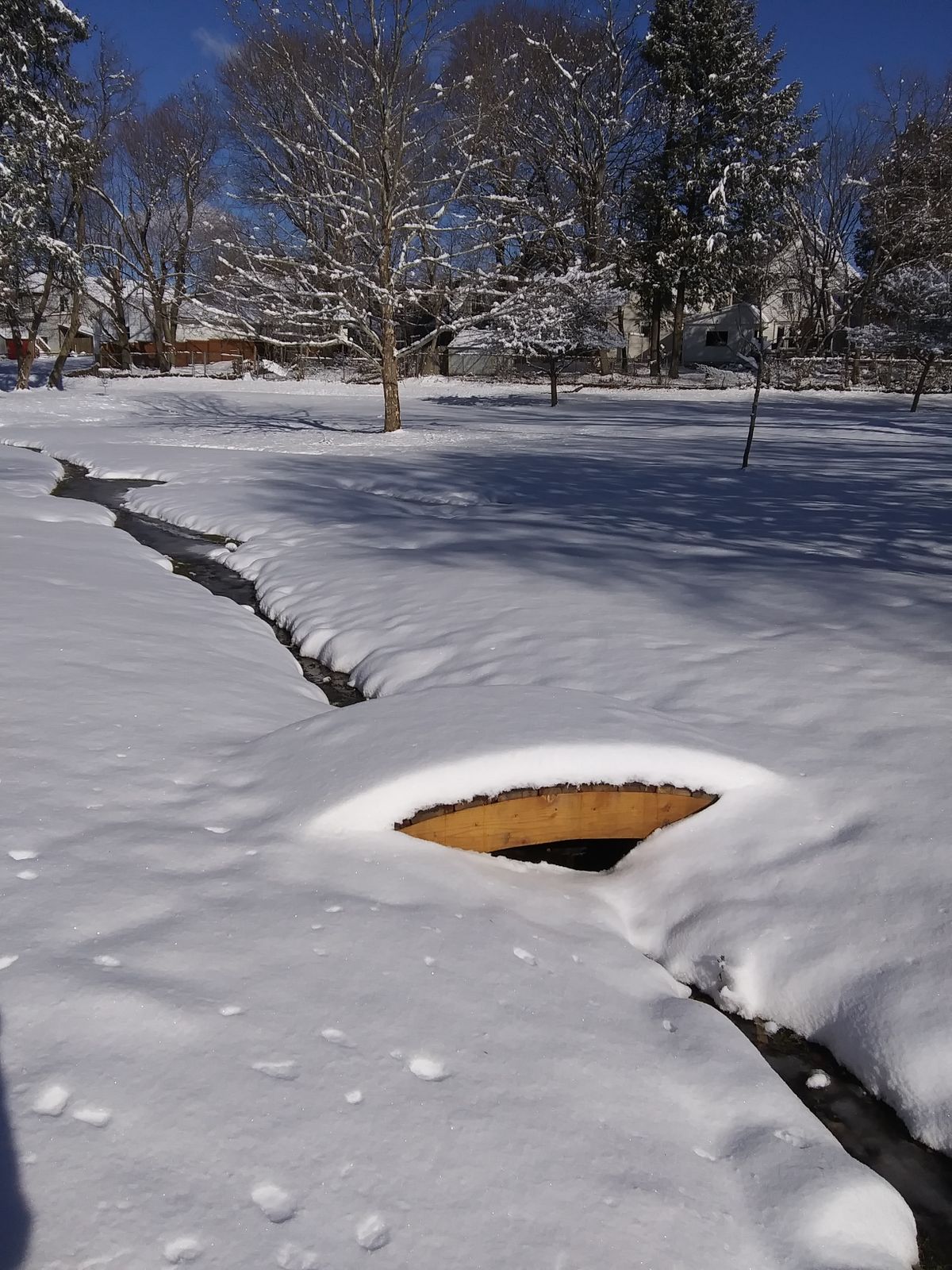 Walk bridge in snow on Fairway of hole 4.
