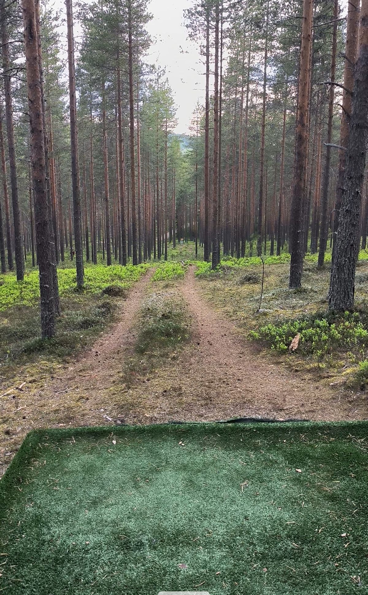 Väylä nro. 12