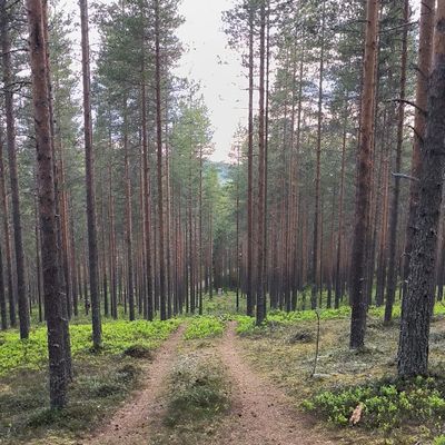 Väylä nro. 12