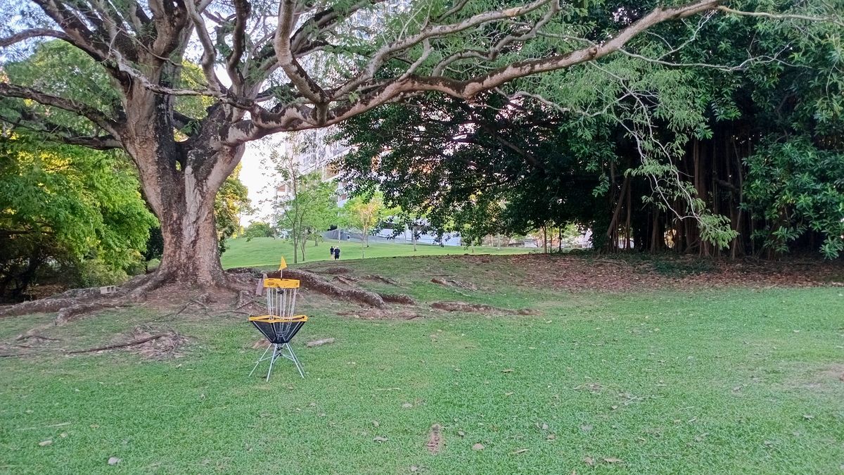 Parque Omar DG Course
Hole 12 Target