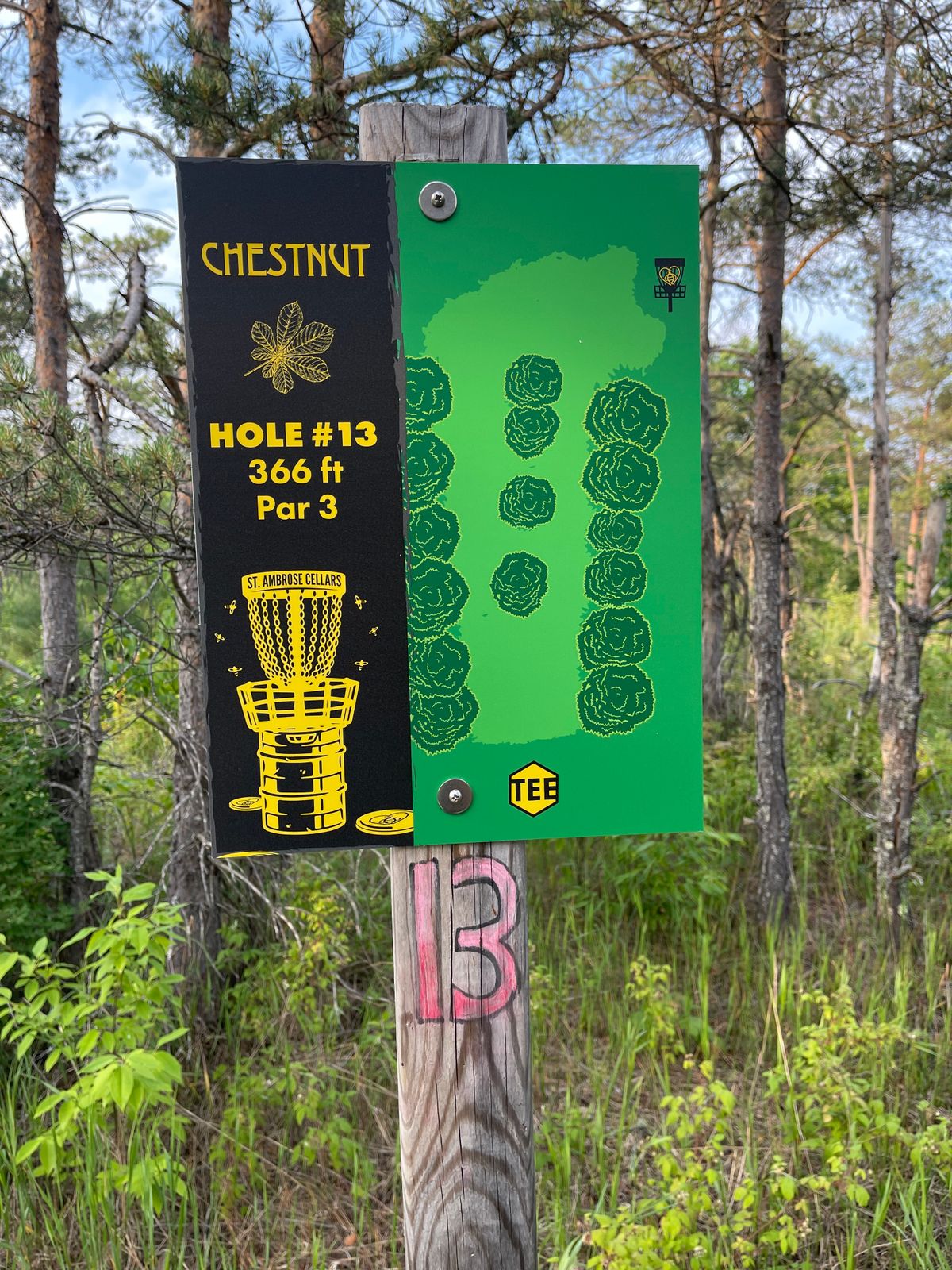 No 13 tee 2023