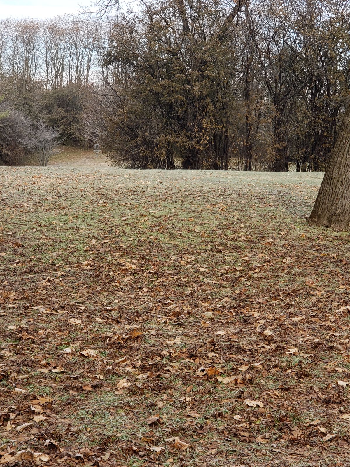 Hole 4