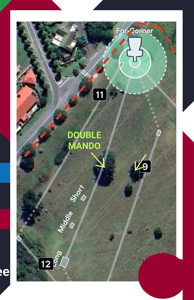 Double Mando between the two big tree.