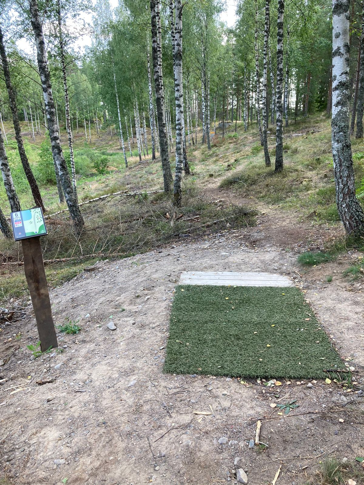 Röd tee, hål 6
