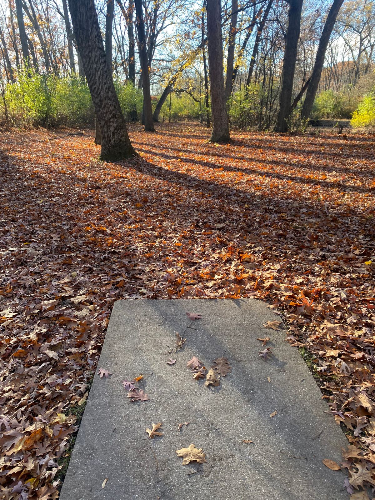 Hole 4 Tee Pad