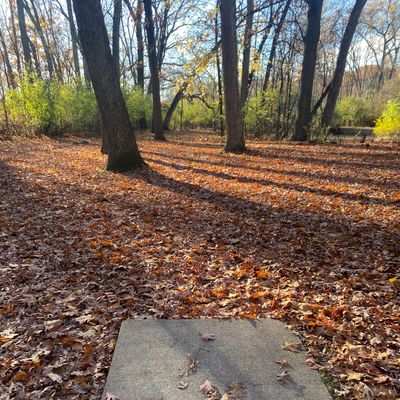 Hole 4 Tee Pad