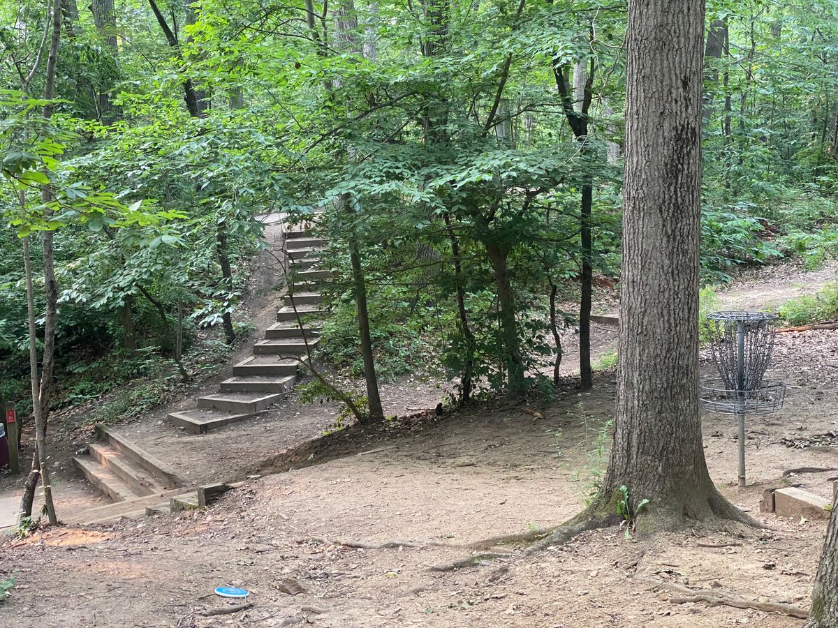 Hole 6 basket on the right, Hole 7 tee on the left