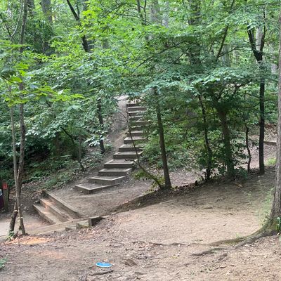Hole 6 basket on the right, Hole 7 tee on the left