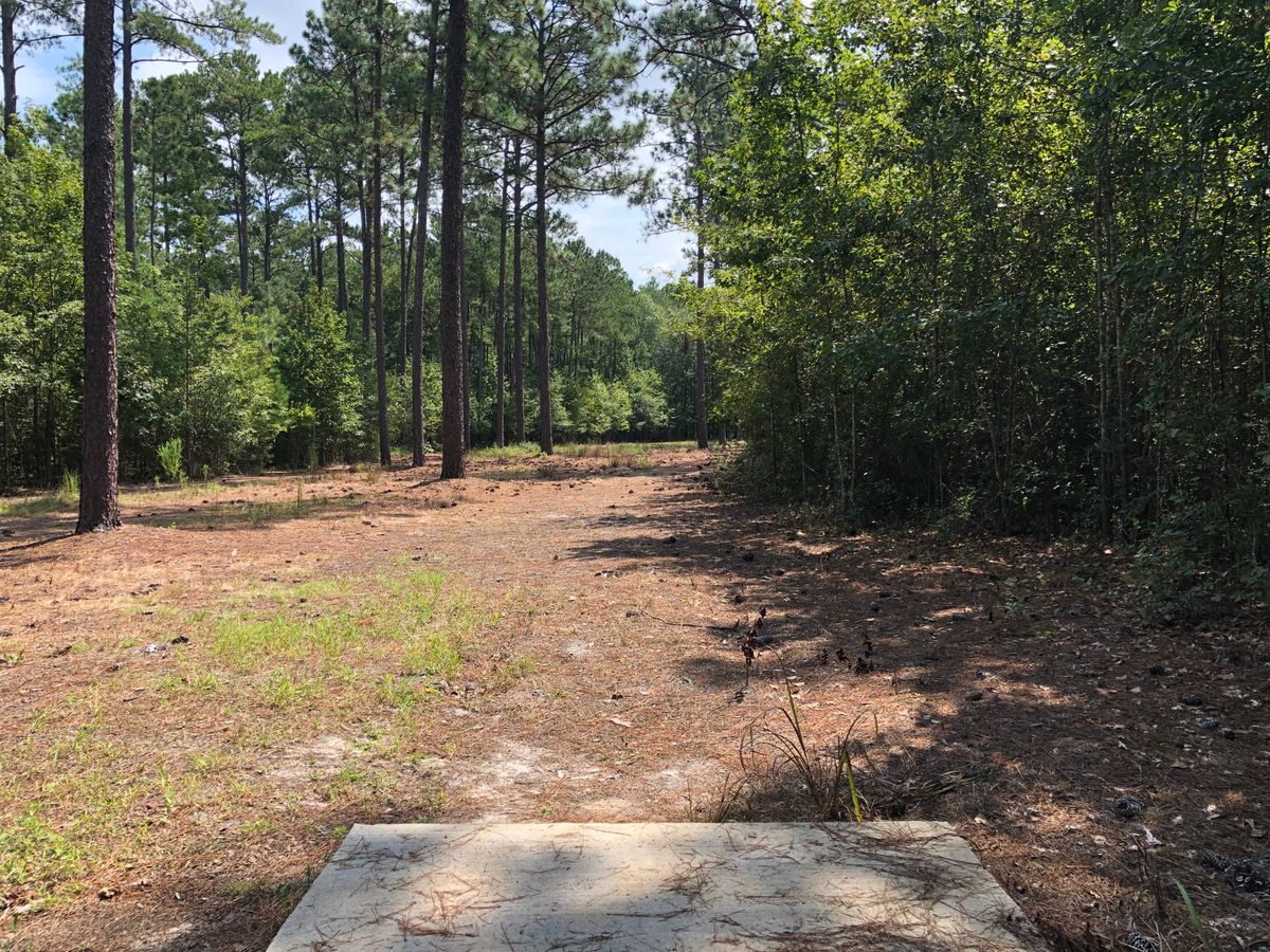 Hole 4 - Blue