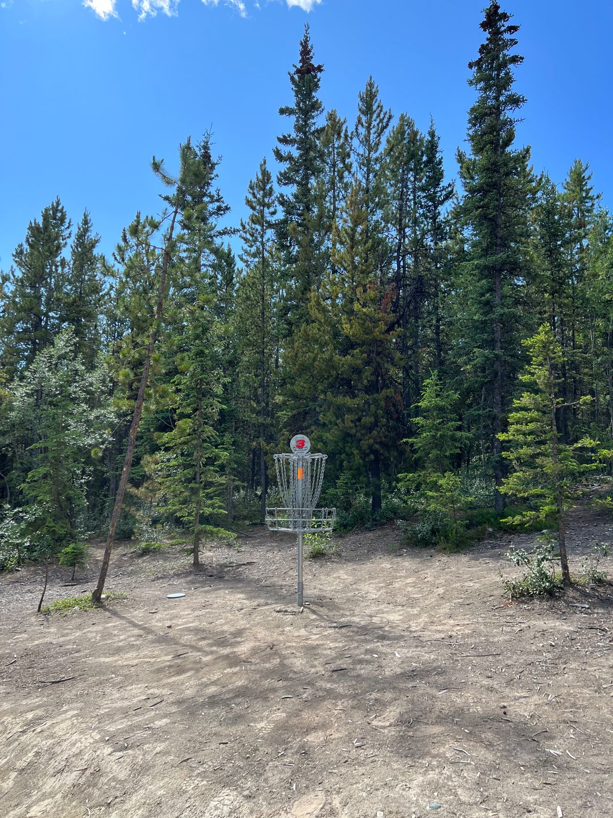 Hole 3 basket