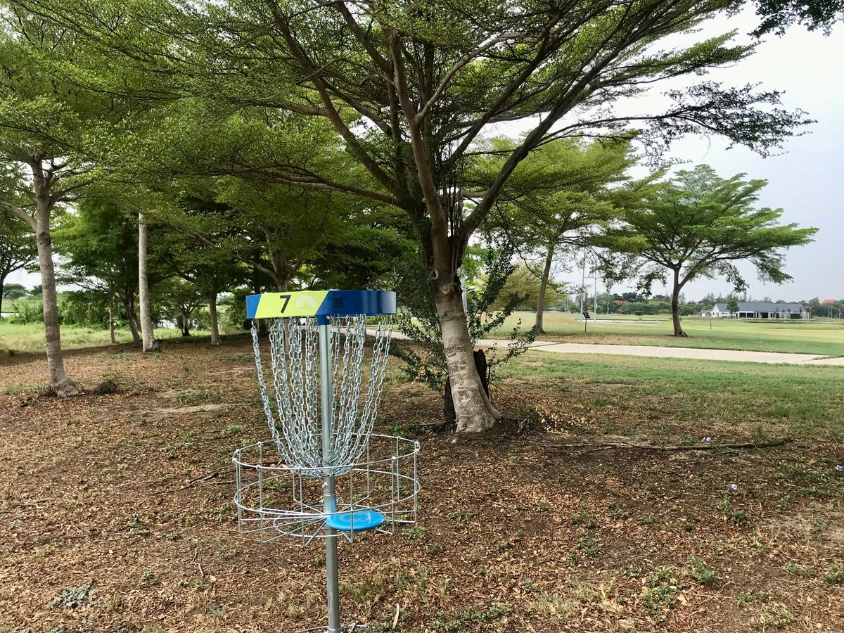 Hole 7 Green