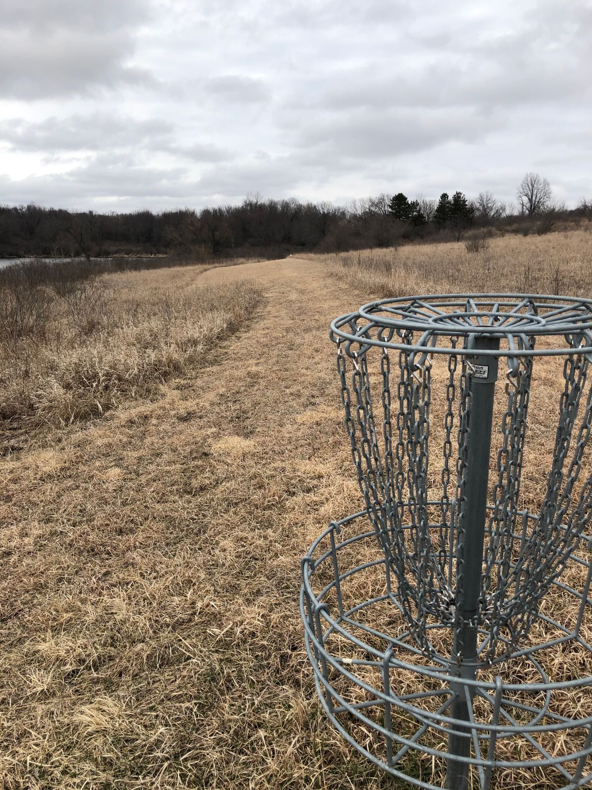12 pin looking back