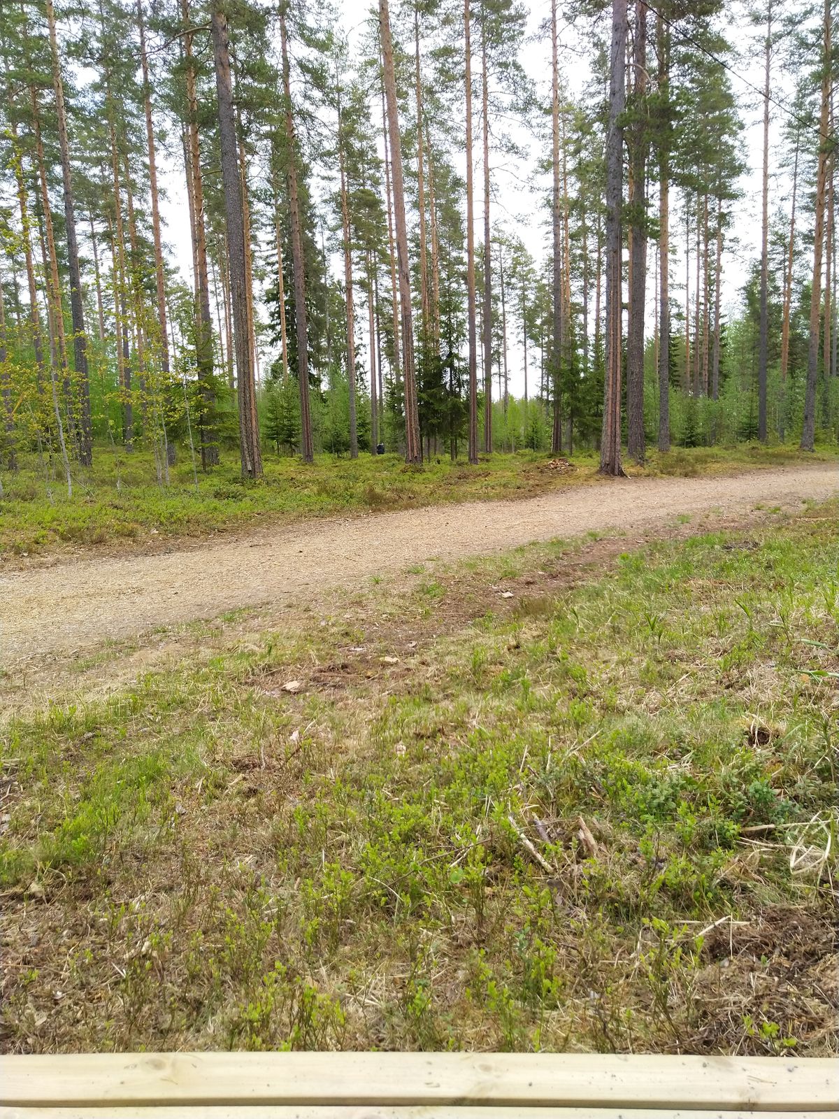 Tarinalaakso New Course väylä 9