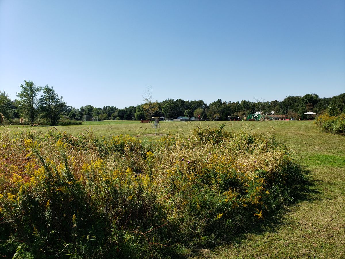 Hole 5 Basket.