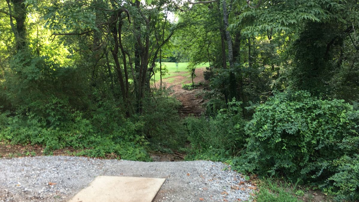 Hole 14