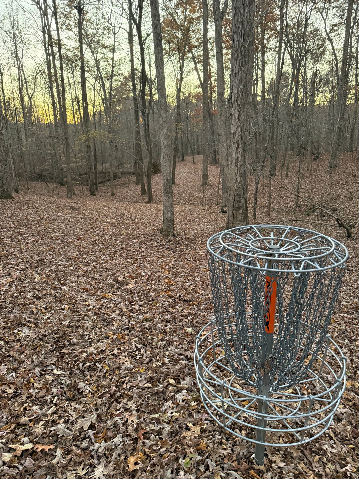 Hole #5 fairway, basket to tee