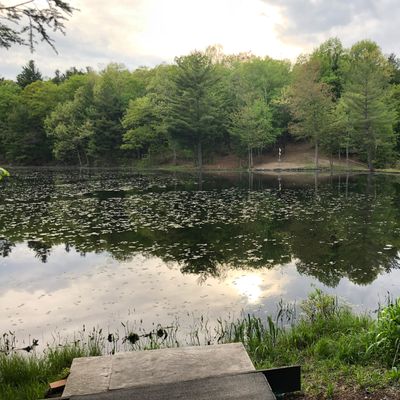Hole 8 tee