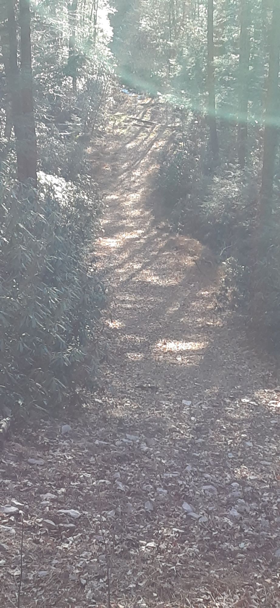 Hole 6 Tee