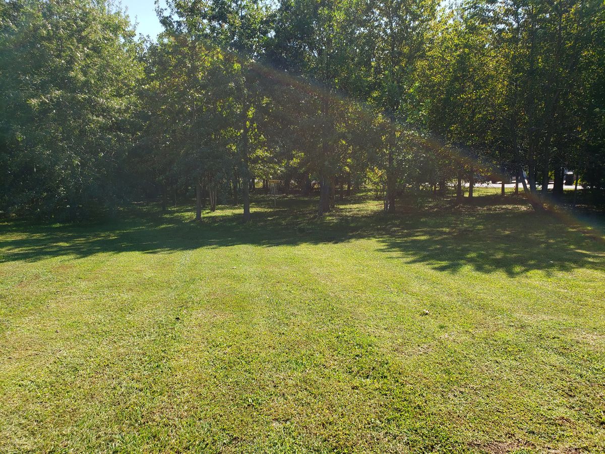 Hole 8 Basket.